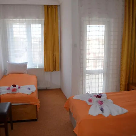 Megas Hotel 3*